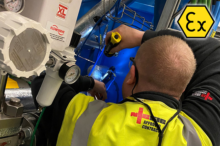 Futura Routine Atex Inspections